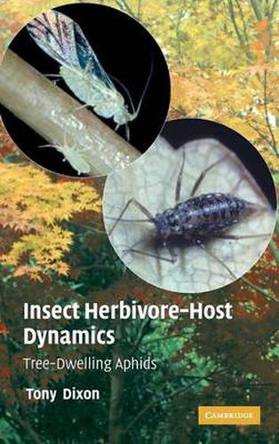 Cover image for Insect Herbivore-Host Dynamics: Tree-Dwelling Aphids