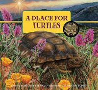 Cover image for A Place for Turtles