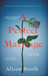 Cover image for Perfect Marriage