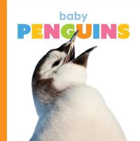 Cover image for Baby Penguins