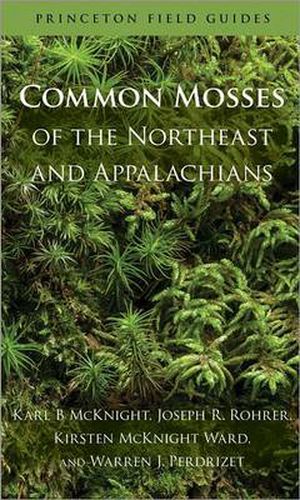 Common Mosses of the Northeast and Appalachians