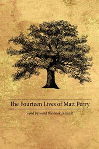 Cover image for The Fourteen Lives of Matt Perry