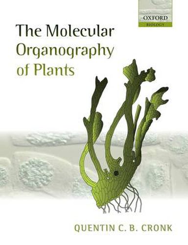 Cover image for The Molecular Organography of Plants