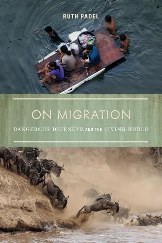 Cover image for On Migration: Dangerous Journeys and the Living World