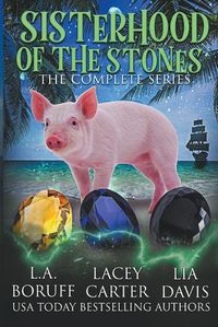 Cover image for Sisterhood of the Stones