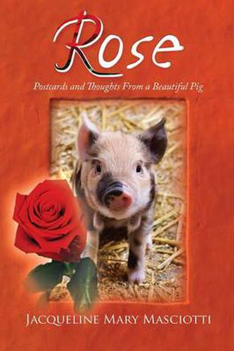 Cover image for Rose - Postcards and Thoughts from a Beautiful Pig