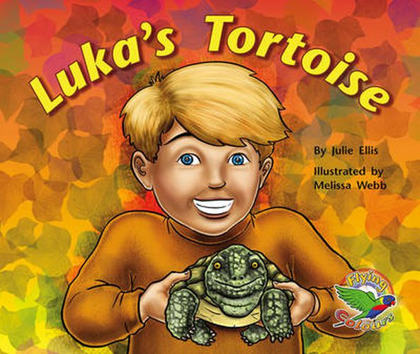 Luka's Tortoise