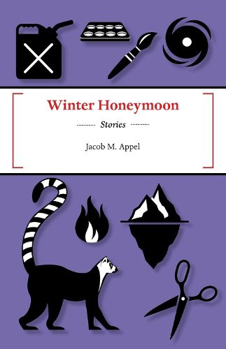 Cover image for Winter Honeymoon