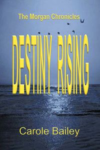 Cover image for Destiny Rising