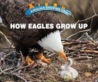 Cover image for How Eagles Grow Up