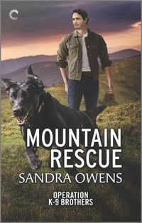 Cover image for Mountain Rescue