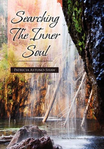 Cover image for Searching the Inner Soul