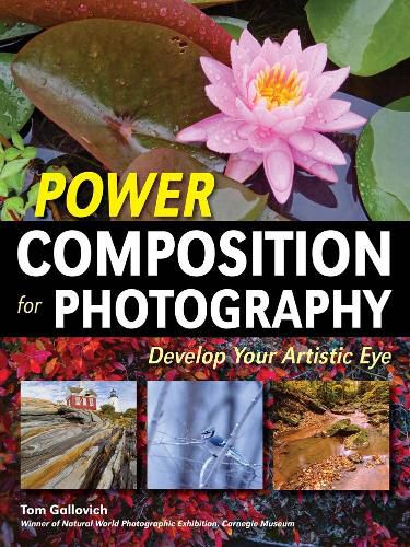 Cover image for Power Composition For Photography: Develop Your Artistic Eye