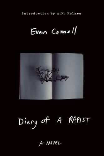 The Diary of a Rapist: A Novel