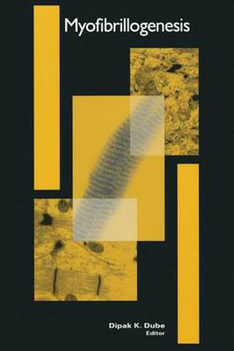 Cover image for Myofibrillogenesis