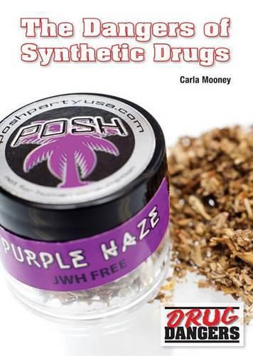 Cover image for The Dangers of Synthetic Drugs