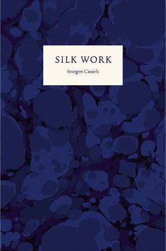 Cover image for Silk Work