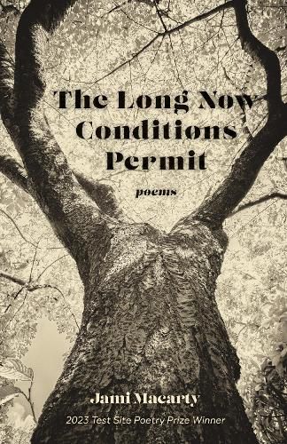 Cover image for The Long Now Conditions Permit
