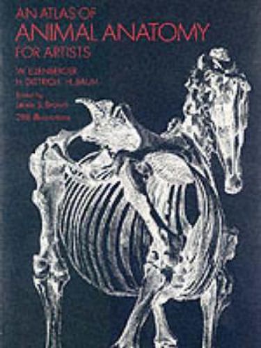Cover image for An Atlas of Animal Anatomy for Artists