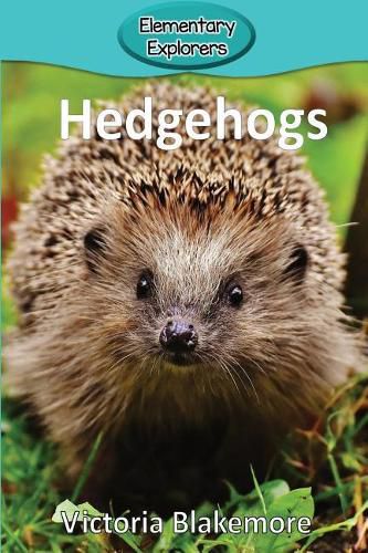 Cover image for Hedgehogs