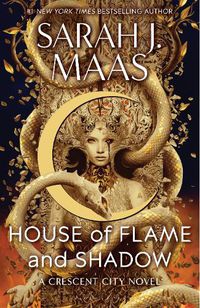 Cover image for House of Flame and Shadow