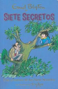 Cover image for Una aventura de los siete secretoss