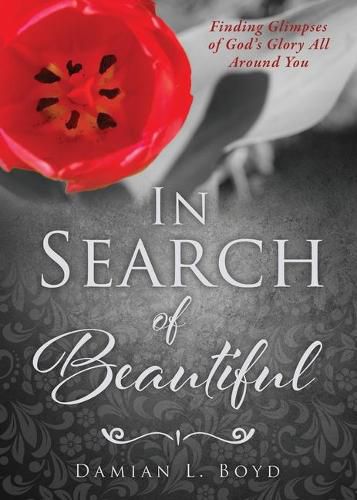 Cover image for In Search of Beautiful