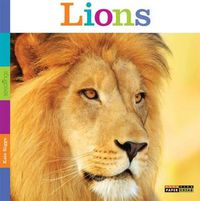 Cover image for Seedlings: Lions