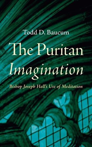 Cover image for The Puritan Imagination