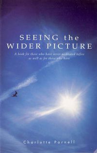 Cover image for Seeing the Wider Picture