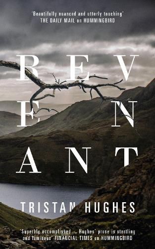 Cover image for Revenant