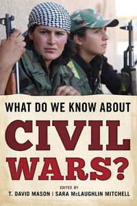 Cover image for What Do We Know about Civil Wars?