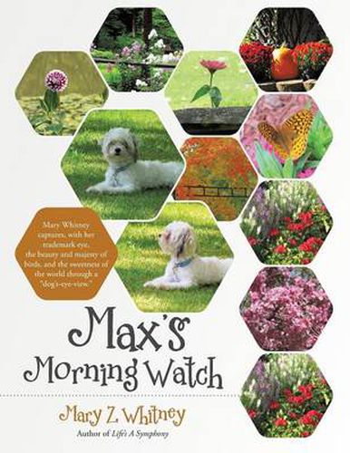 Cover image for Max's Morning Watch