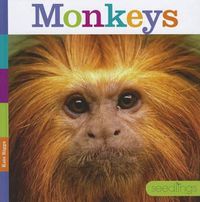 Cover image for Monkeys