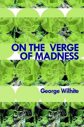 Cover image for On the Verge of Madness