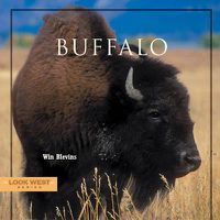 Cover image for Buffalo