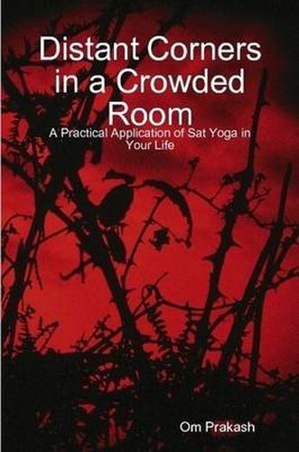 Cover image for Distant Corners in a Crowded Room