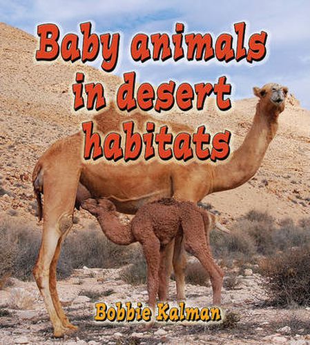 Cover image for Baby Animals in Desert Habitats