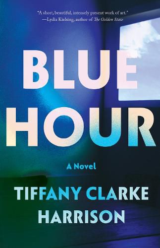 Cover image for Blue Hour: A Novel