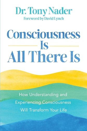 Cover image for Consciousness Is All There Is