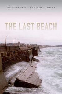 Cover image for The Last Beach