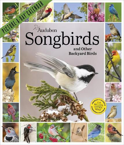 Cover image for Audubon Songbirds and Other Backyard Birds Picture-A-Day (R) Wall Calendar 2027