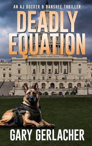 Cover image for Deadly Equation