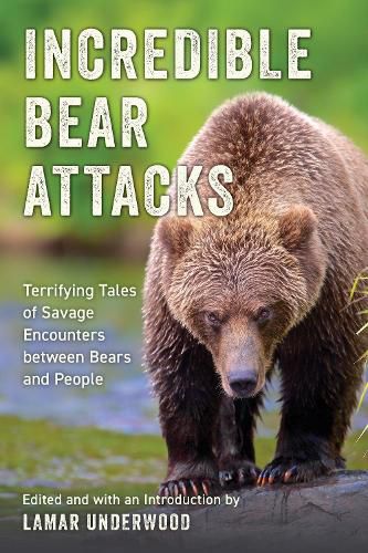 Cover image for Incredible Bear Attacks