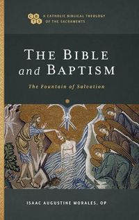 Cover image for The Bible and Baptism: The Fountain of Salvation