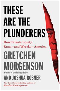 Cover image for These Are the Plunderers