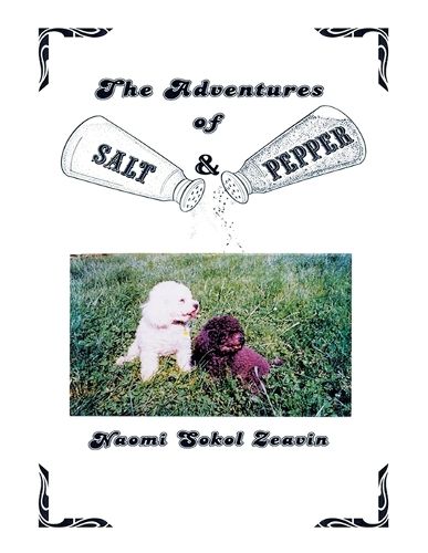 Cover image for The Adventures of Salt & Pepper