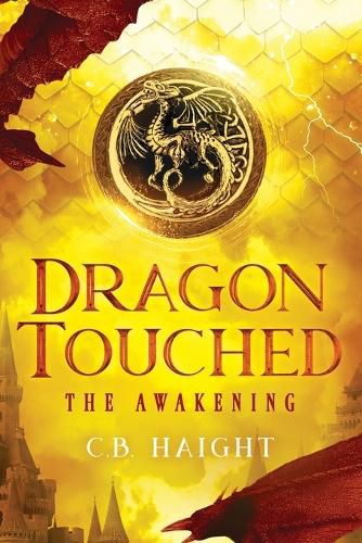 Cover image for Dragon Touched
