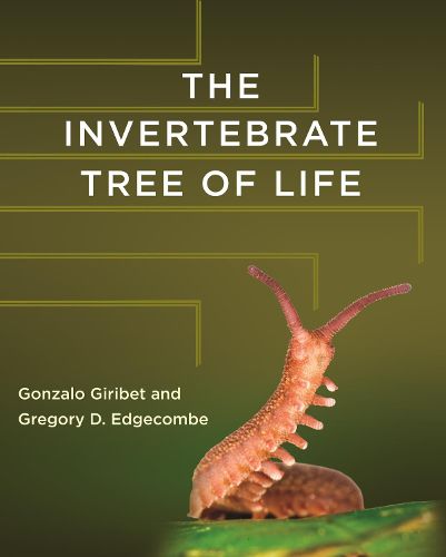 Cover image for The Invertebrate Tree of Life