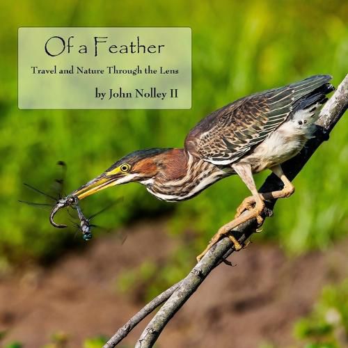 Of a Feather: Travel and Nature Through the Lens